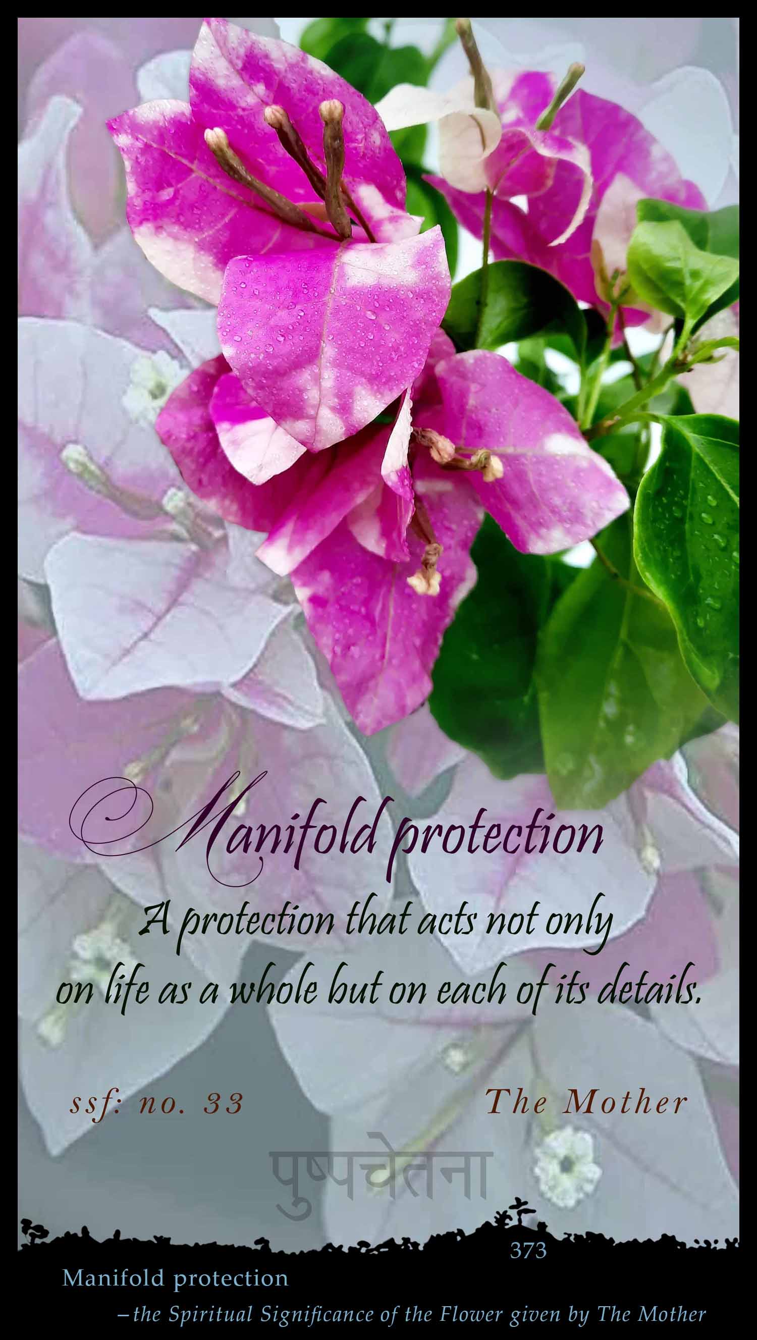 Manifold Protection